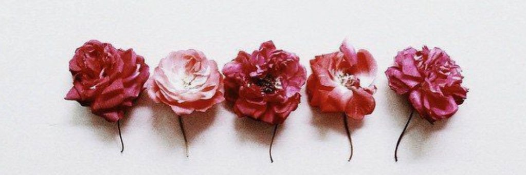 _littlelegs's profile banner image