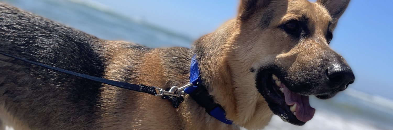 jakethestew_'s profile banner image