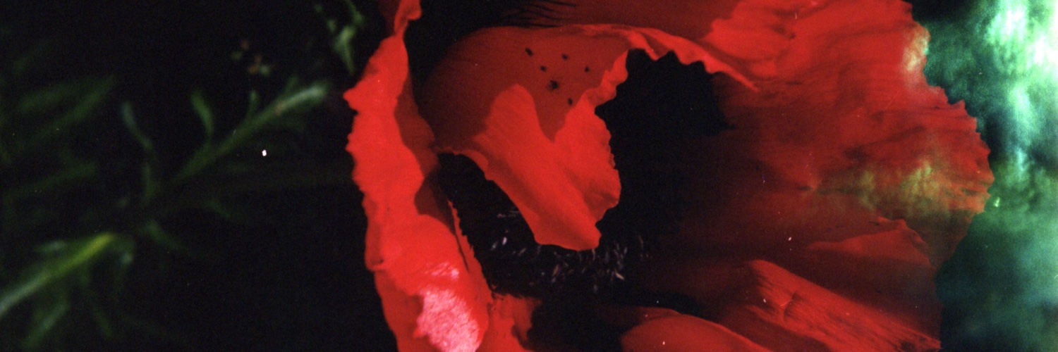 BLJankowski's profile banner image