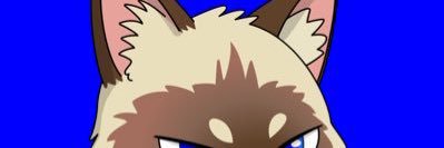 DUPPY |BOMI GUY banner