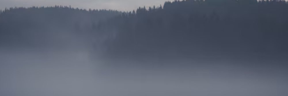 PPJSHSwrestling's profile banner image