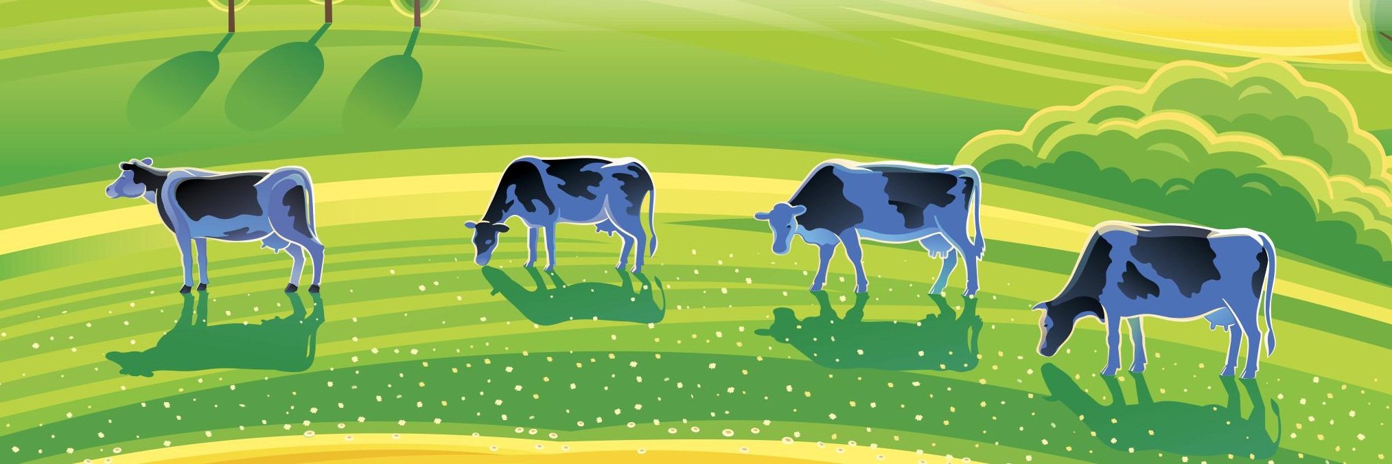 Mercolactea's profile banner image