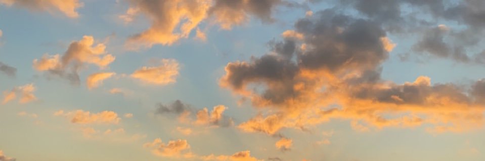 CodeyDodd's profile banner image