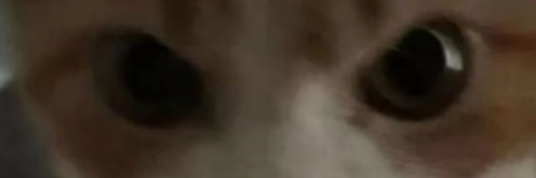 0g_34's profile banner image