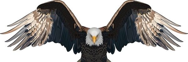 EaklyFirst's profile banner image