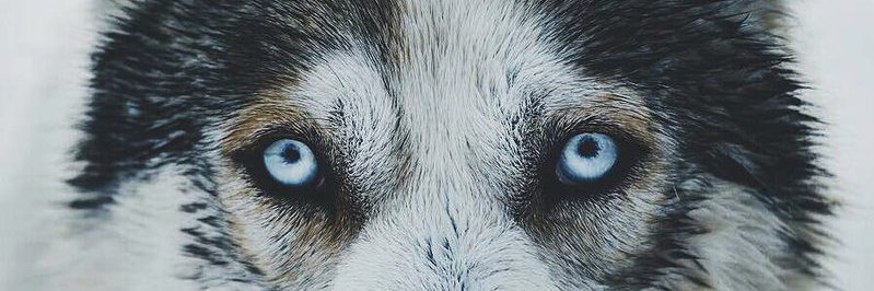 DavyJonesG7's profile banner image