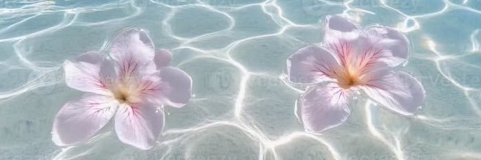Lisanakb's profile banner image