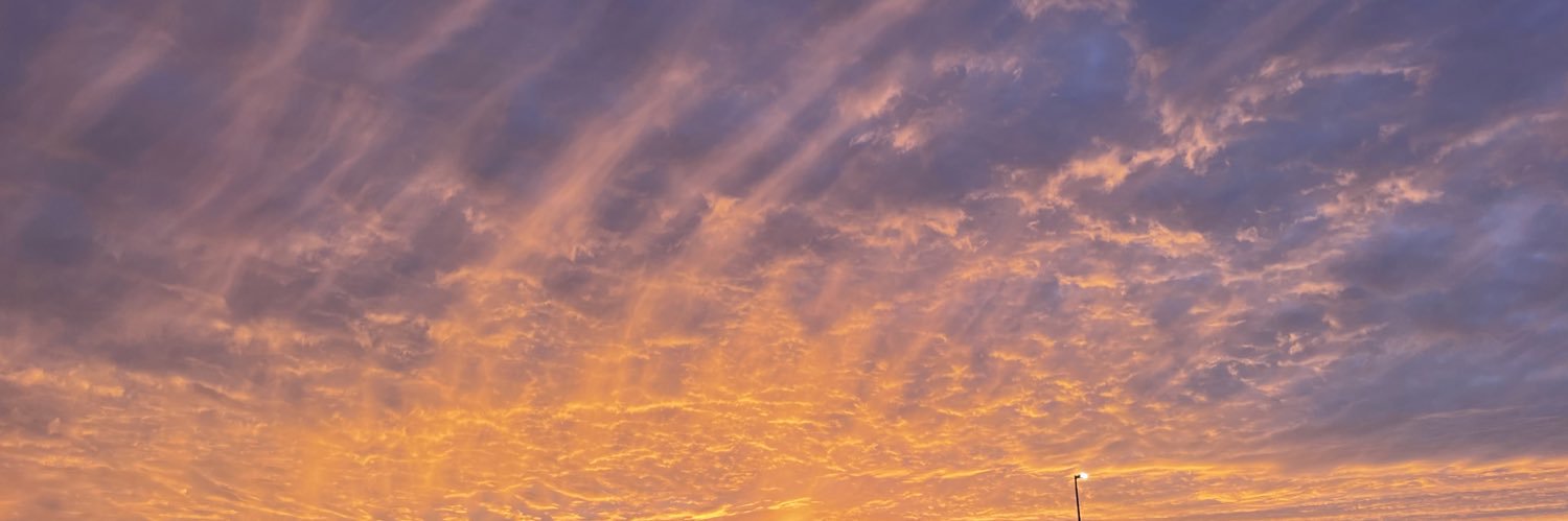 brandywine5473's profile banner image
