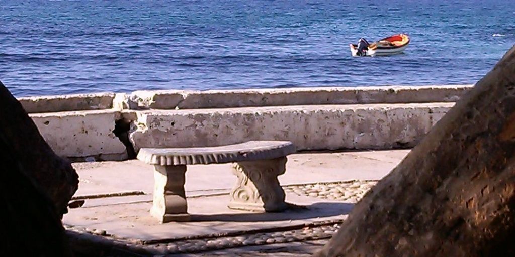 Verónica León banner