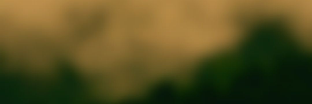bemy__m3 banner