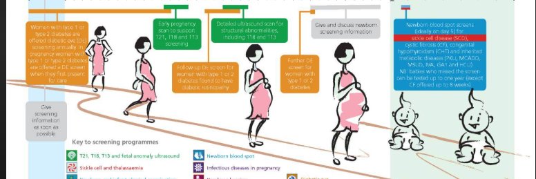 MaternityCareInMyLanguage's banner