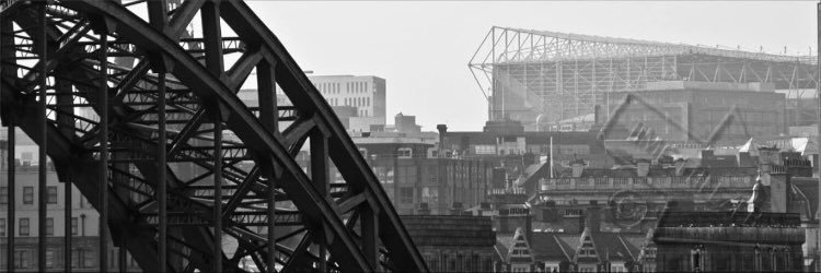 RyanFoley95's profile banner image