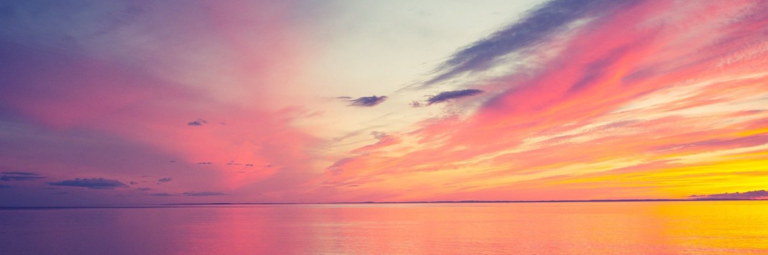 HailleJames's profile banner image