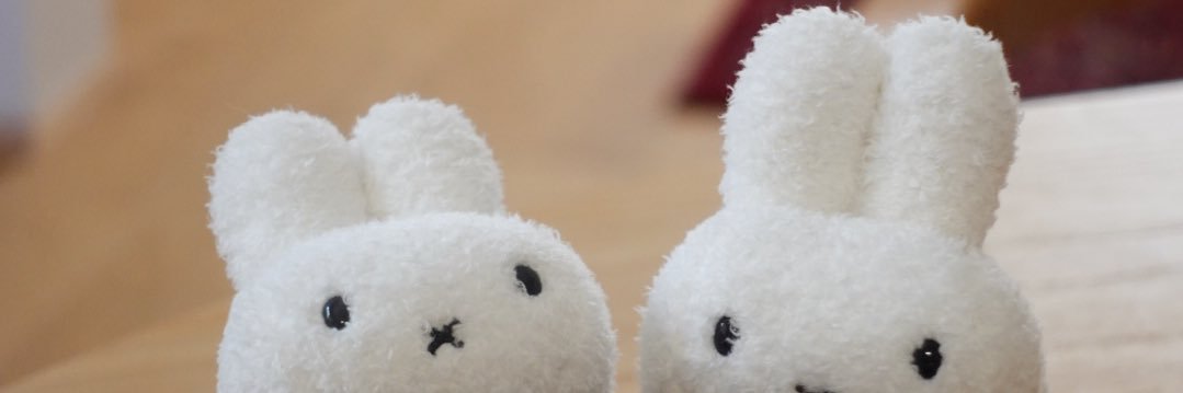 うさぎです banner