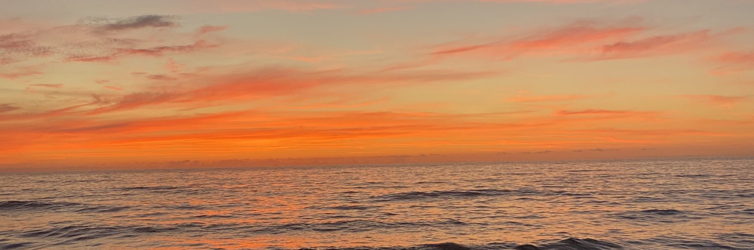 baileyfrancine's profile banner image