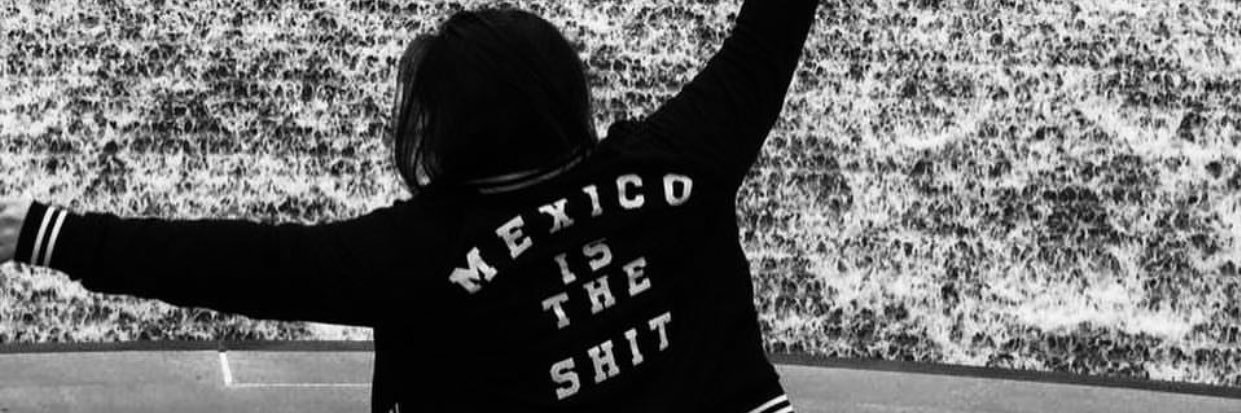 91carosalas's profile banner image