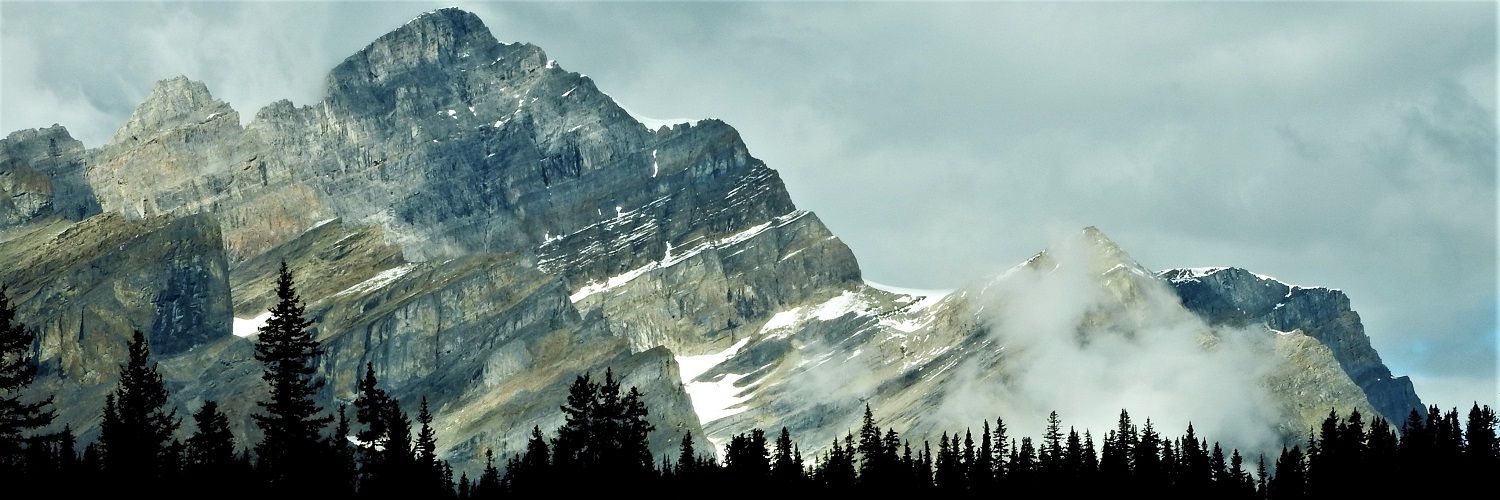 VisuMap's profile banner image