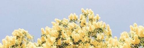 _aquiraaaa's profile banner image