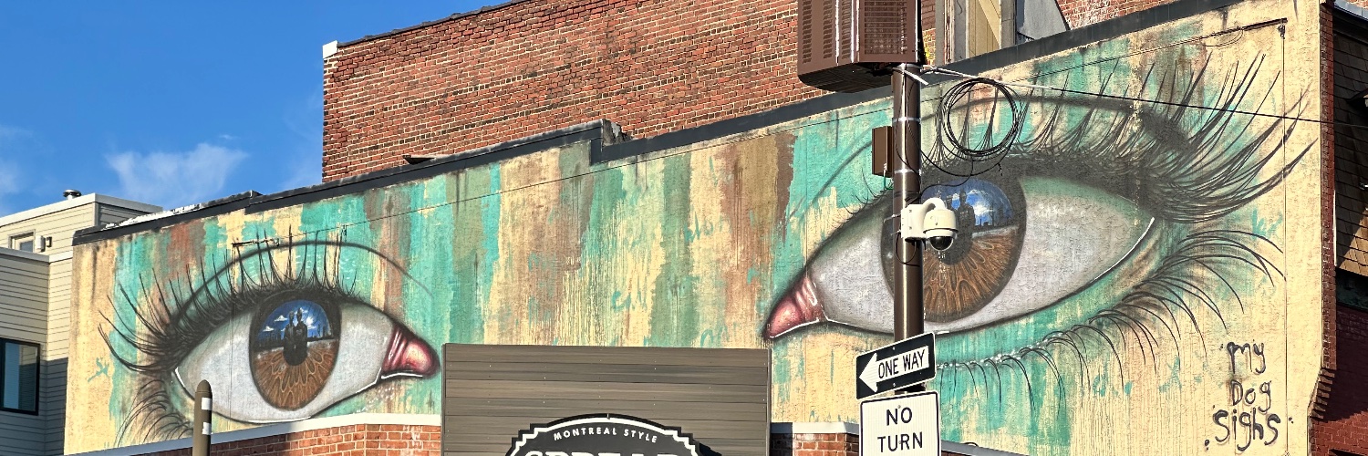 Graybeard a.k.a. Angry Pony banner