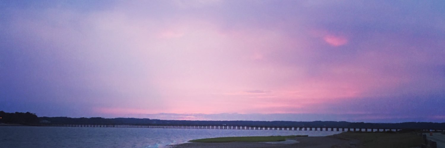 Lyssa6's profile banner image