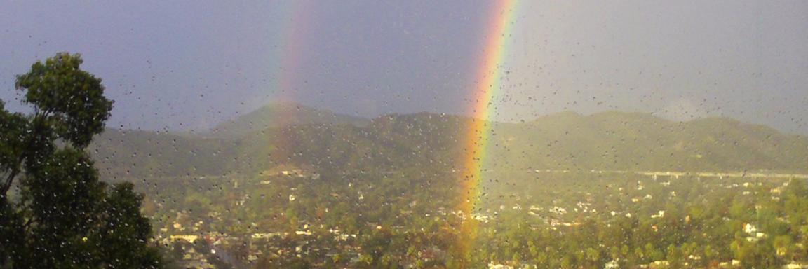 Carmel Levitan banner