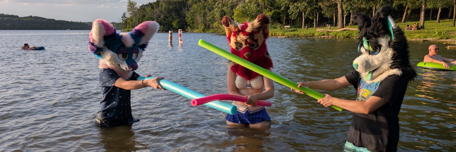 SorinFoxfire's profile banner image