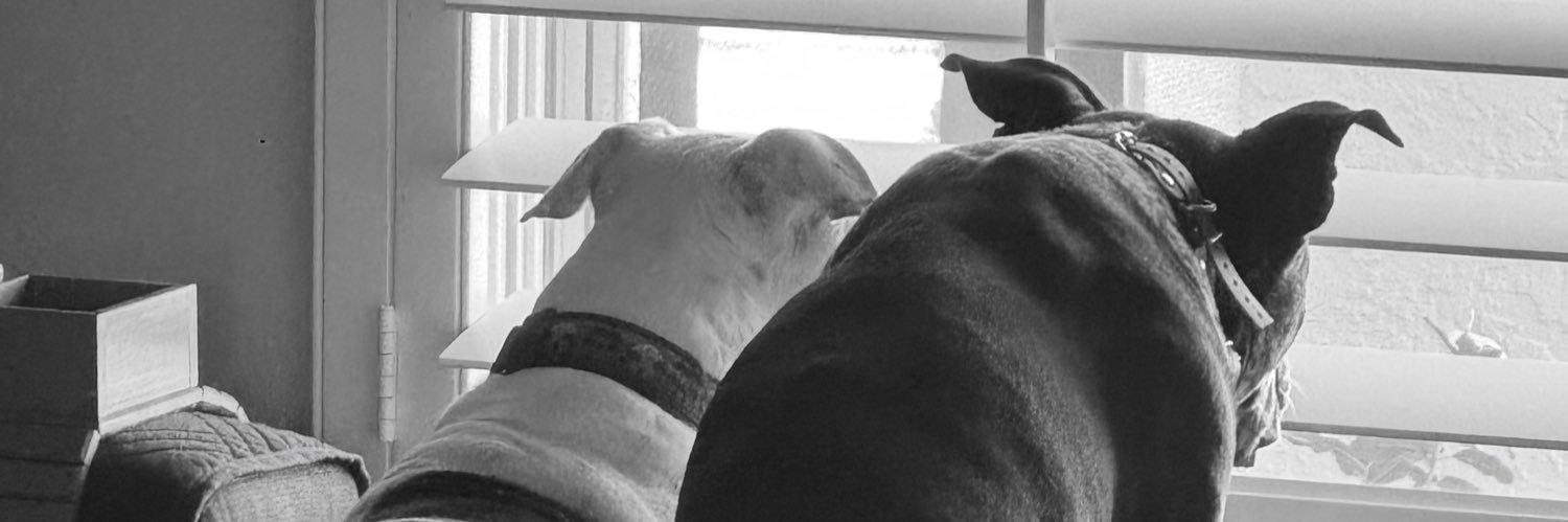 michellelee007's profile banner image