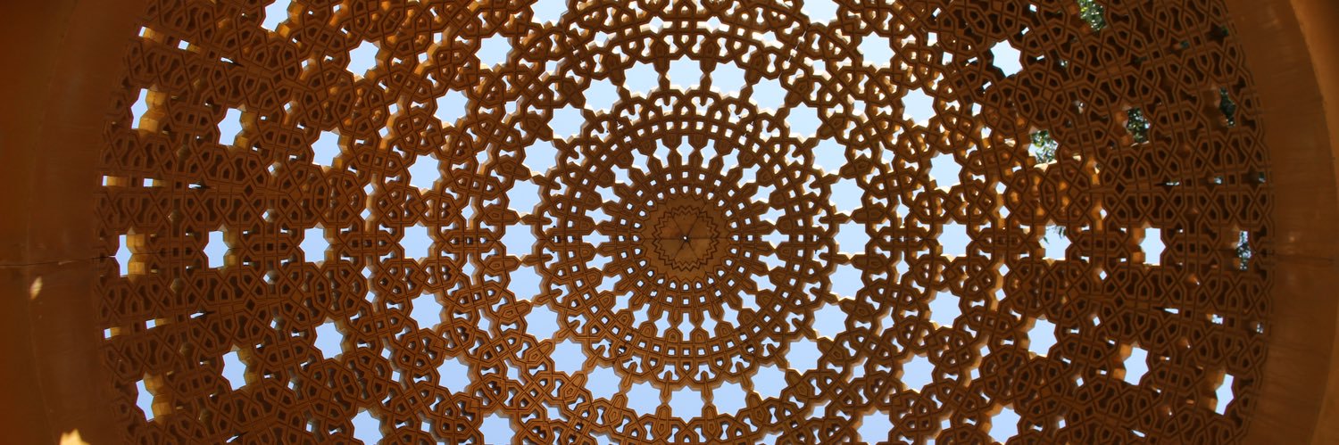 Dr. Ronna Mosher banner