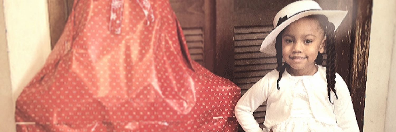 shulie salomon banner