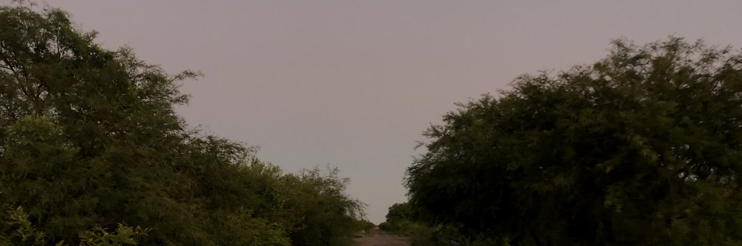 maximarecosv's profile banner image
