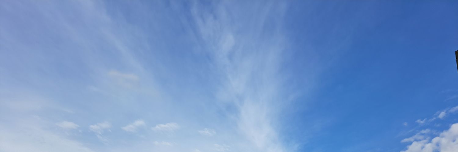 Pipit503's profile banner image