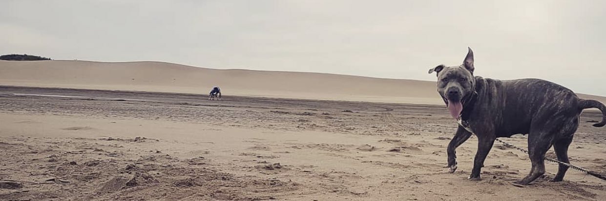 AgussSimani's profile banner image