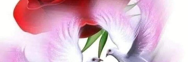 MfsrhM32804 Profile Banner