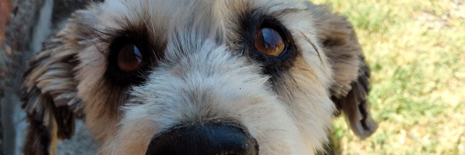 LuciaVeronicaaa's profile banner image