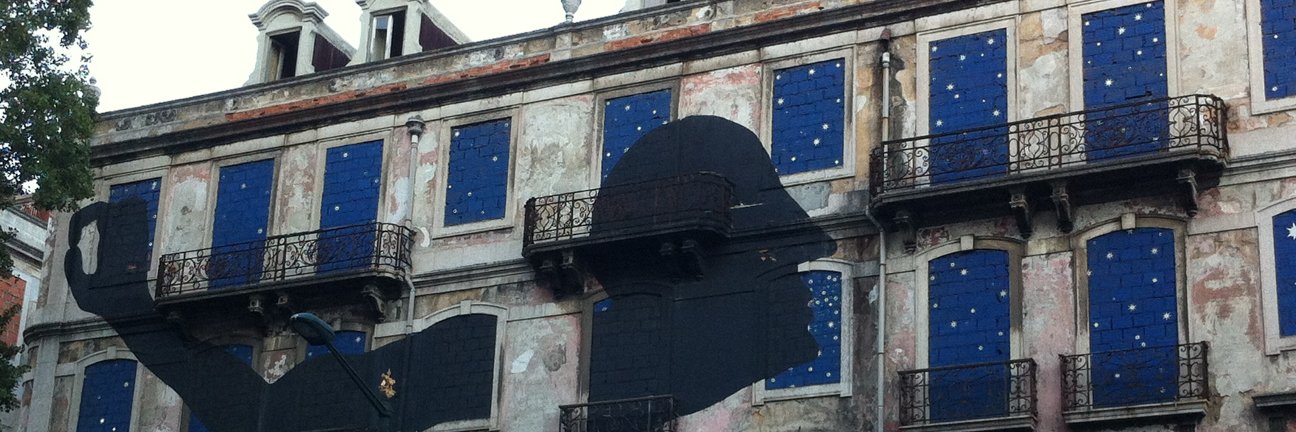 Celina Navarro banner