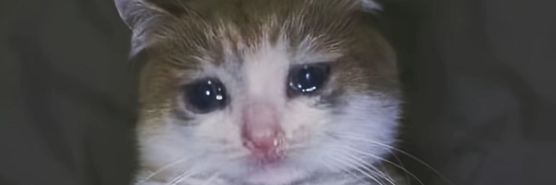 djaadja__'s profile banner image