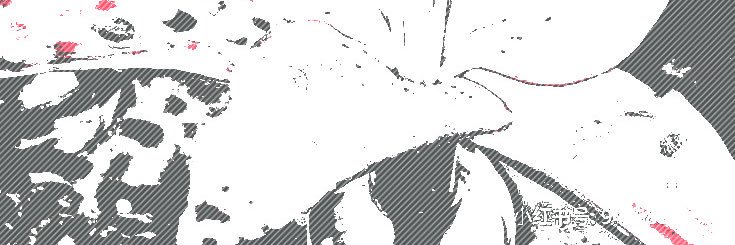 orchynza banner