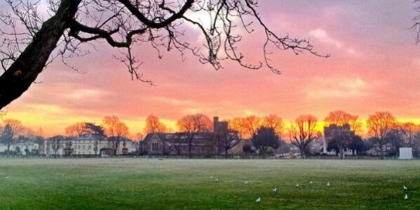 David Siveyer banner