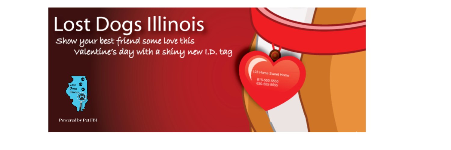 Lost Dogs Illinois banner