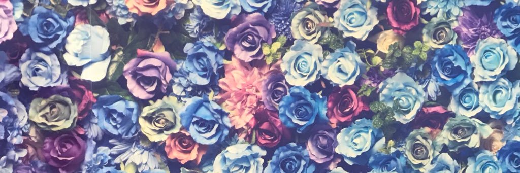 1109Sarina's profile banner image