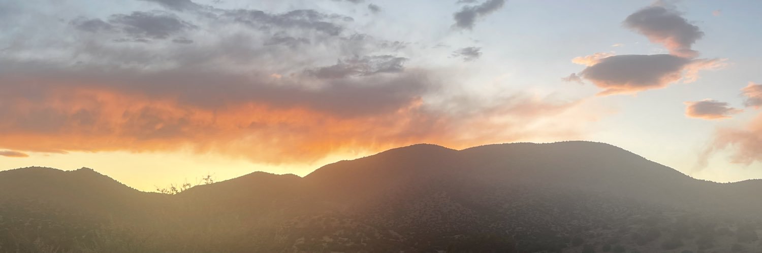 Elizabeth Cusack banner
