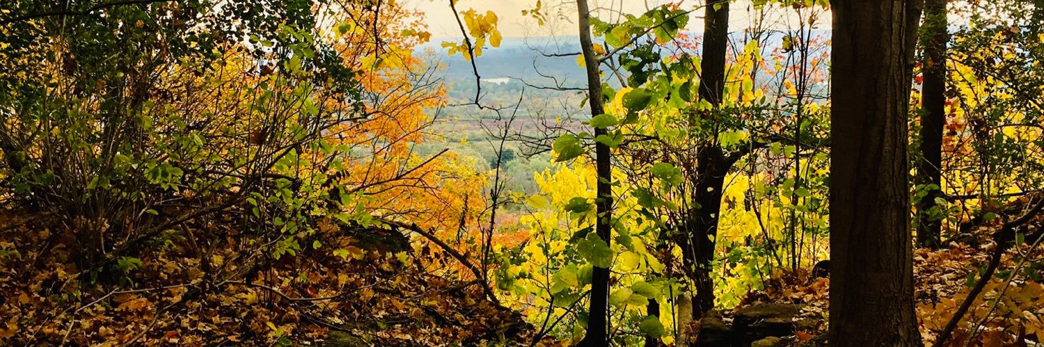 Zoe Branigan-Pipe banner