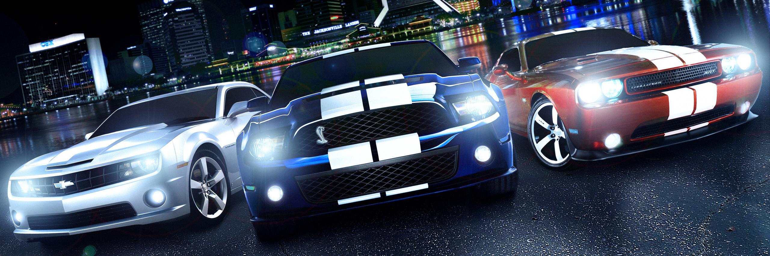 libellule du sud banner