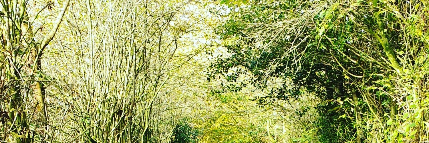 Fay Dean 🗿 banner