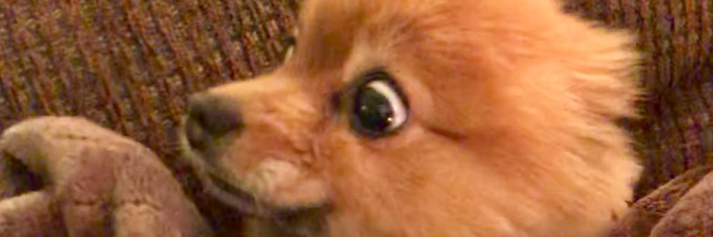 _wineandbitch's profile banner image