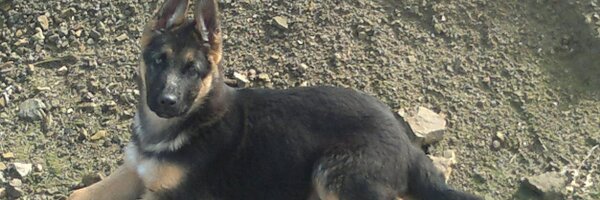 jmhernande Profile Banner