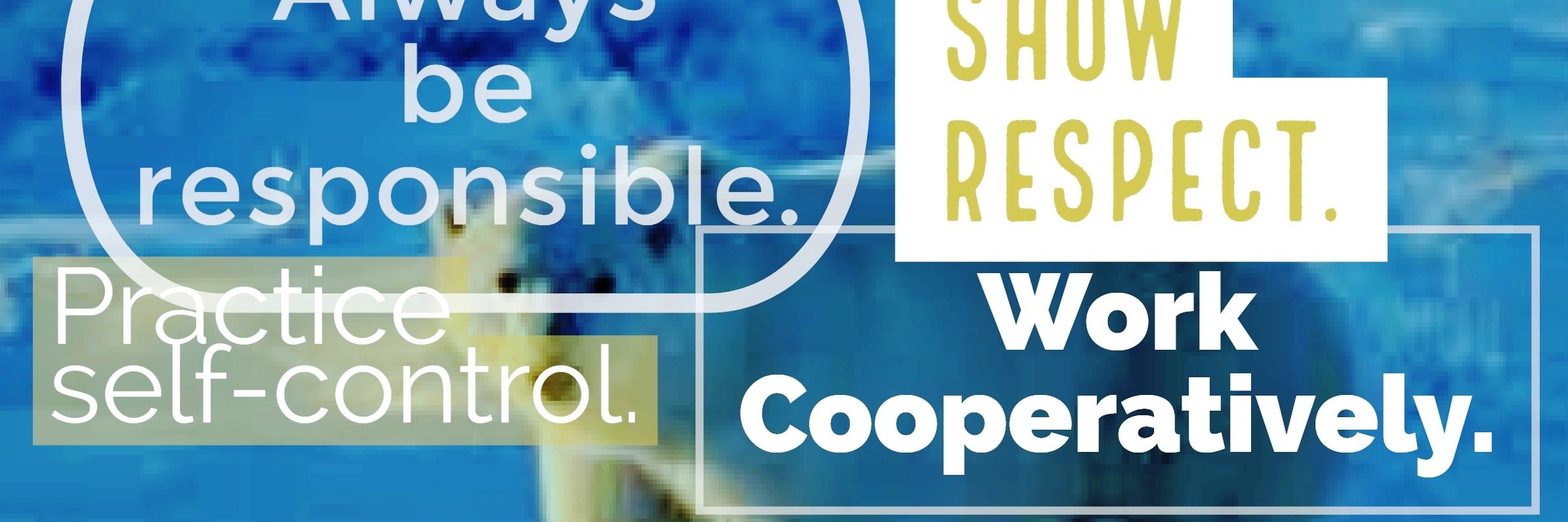 Lisa Hudson(Mims) banner