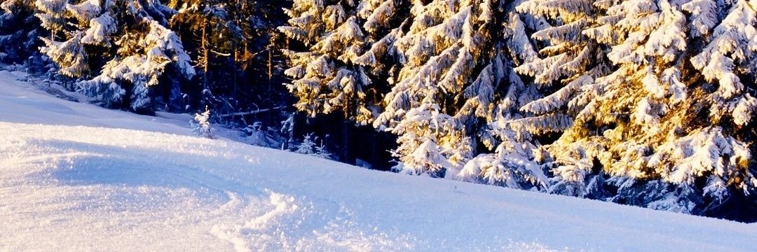 StephenBlain's profile banner image