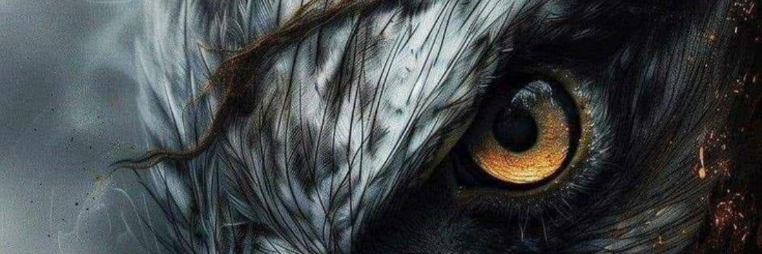 etuksmit's profile banner image