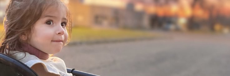 rebecchii's profile banner image
